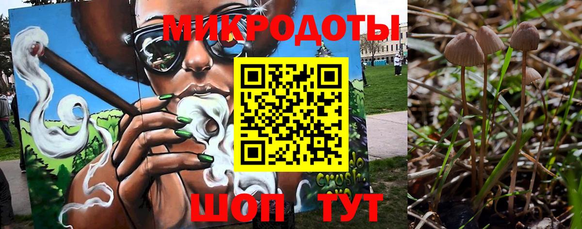 Галлюциногенные грибы мухоморы Малоярославец