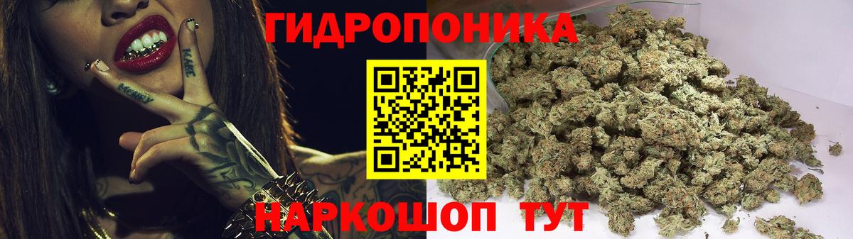 Бошки марихуана OG Kush Малоярославец
